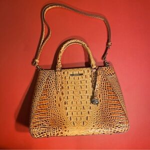 BRAHMIN Asher carryall